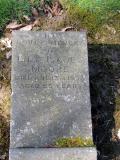image of grave number 732909